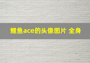 鲤鱼ace的头像图片 全身